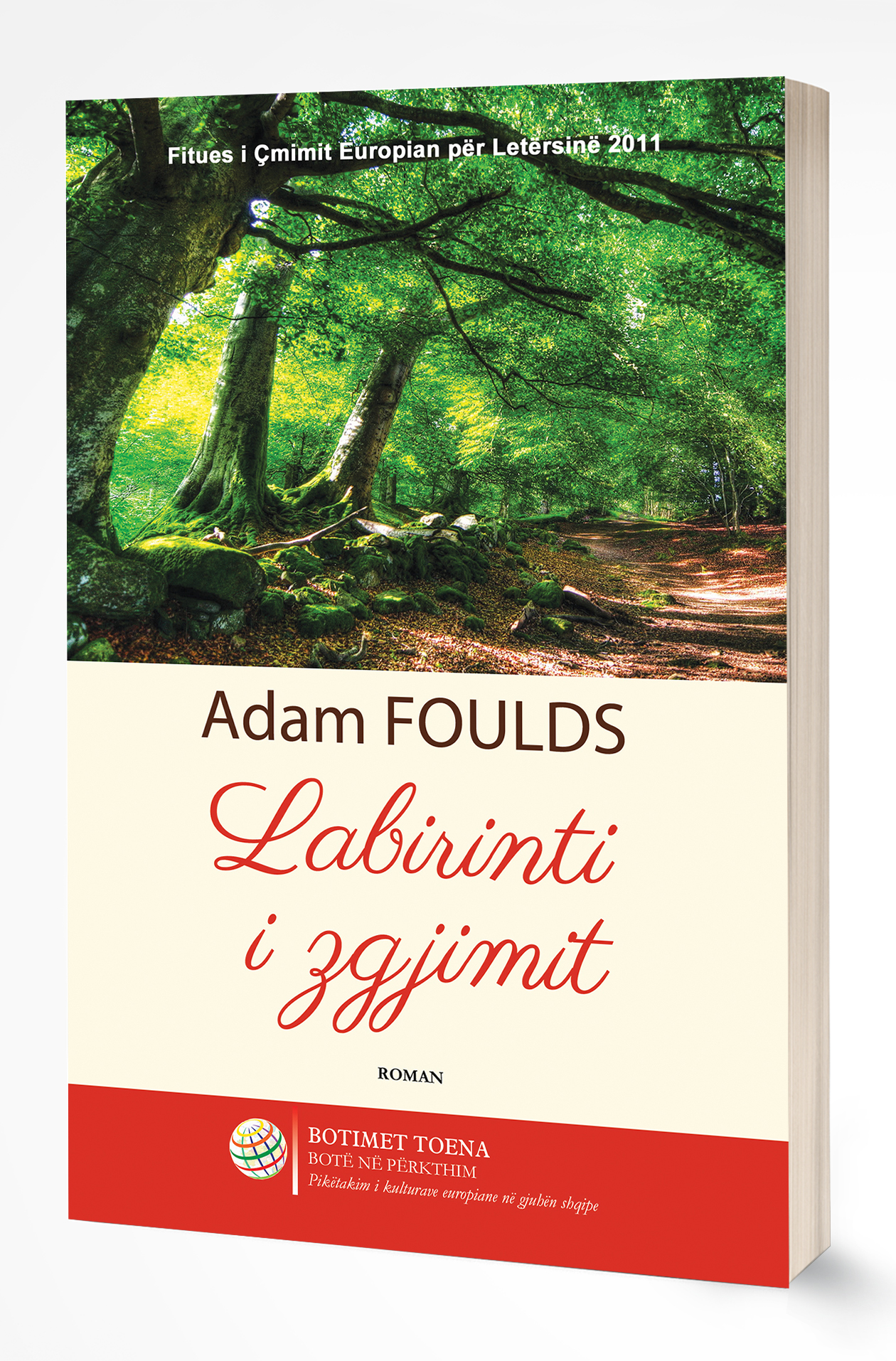 Labirinti i zgjimit