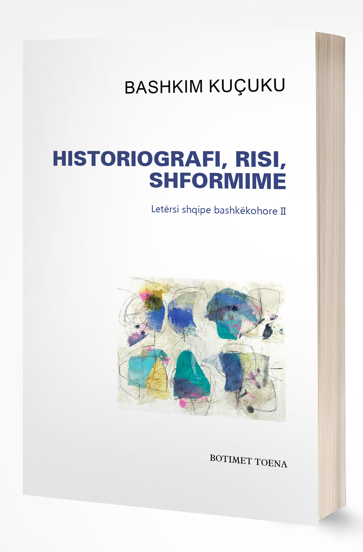 Historiografi, risi, shformime