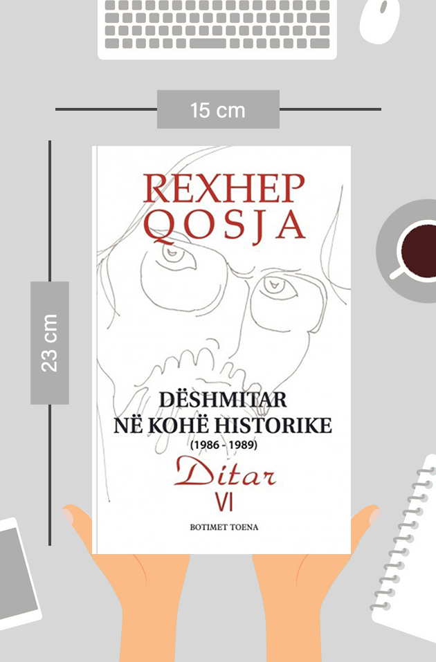 Dëshmitar në kohë historike - Ditari VI