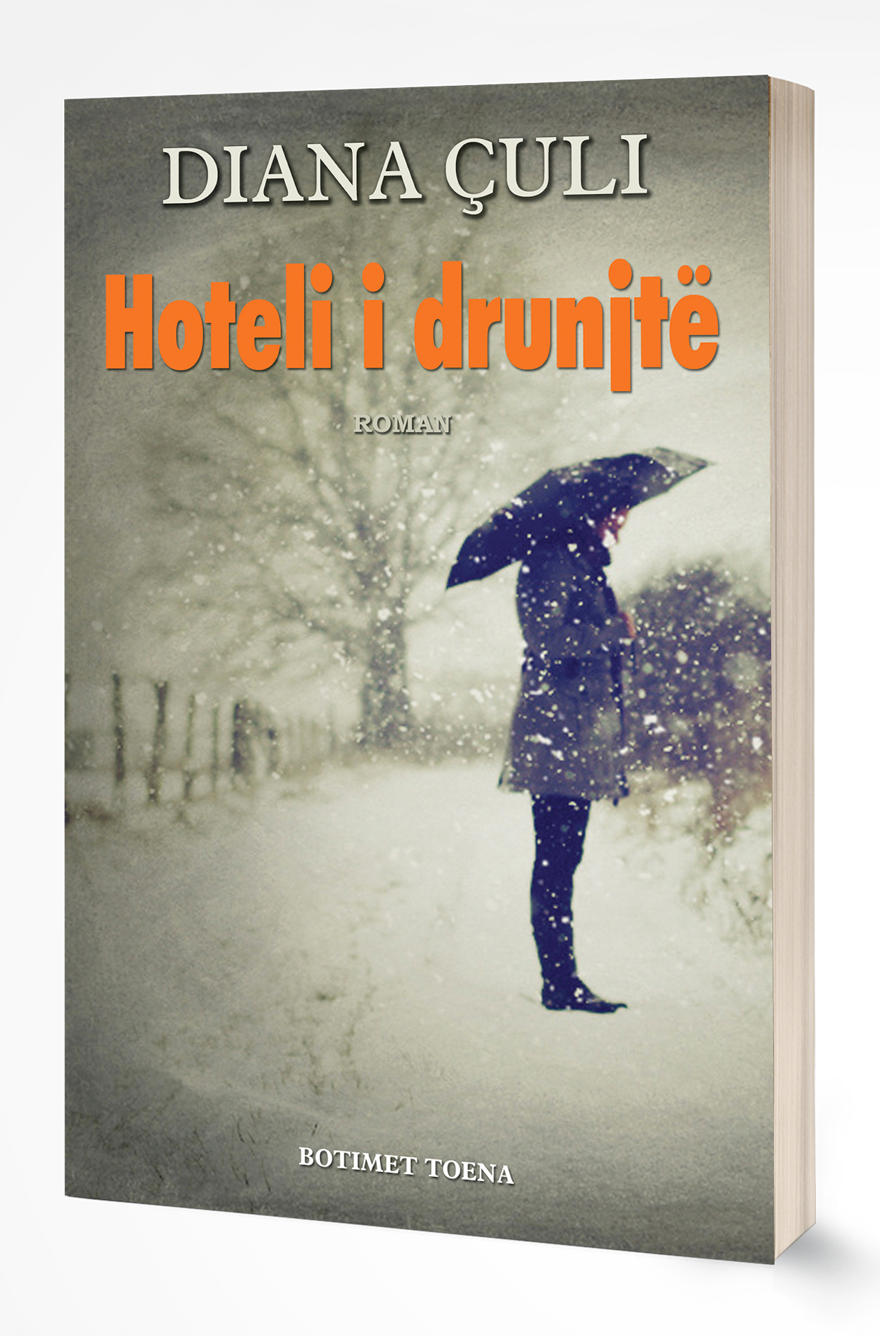 Hoteli i drunjtë