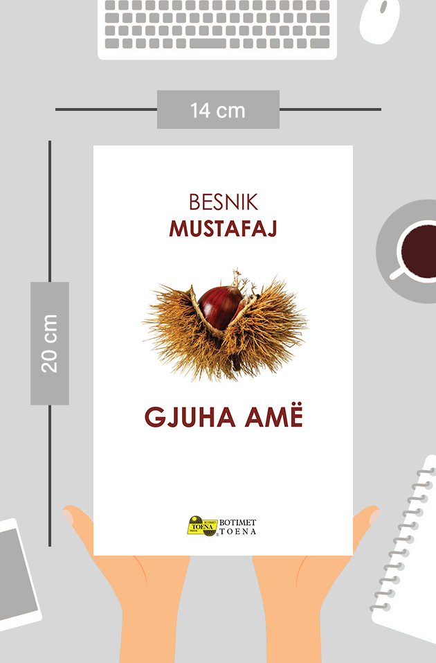 Gjuha amë